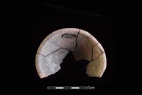 陶片藏品圖，第2張